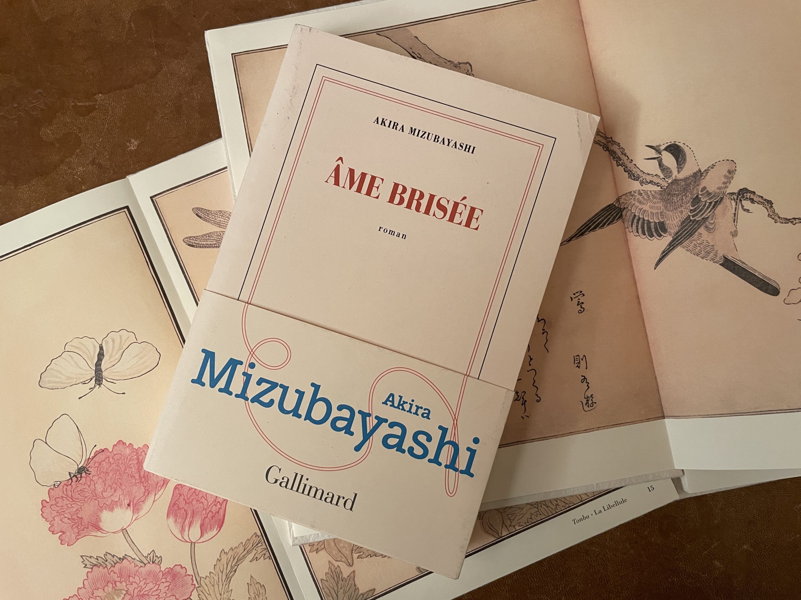 Âme brisée - Akira Mizubayashi - Gallimard - P.E. Cayral